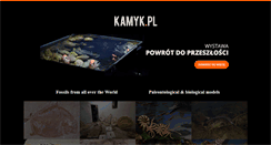 Desktop Screenshot of kamyk.pl