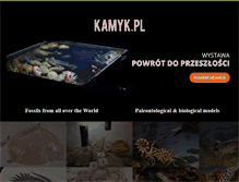 Tablet Screenshot of kamyk.pl